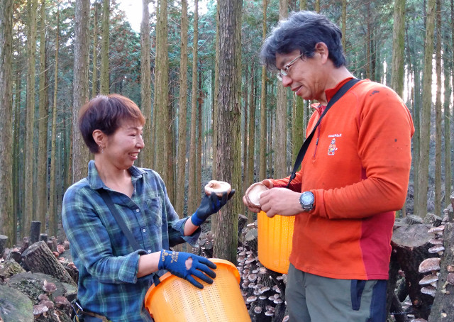 原田山業