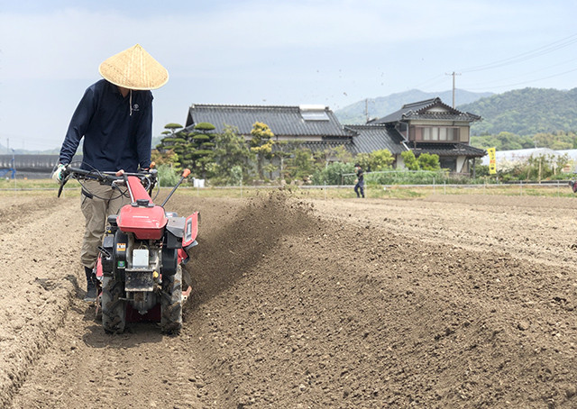 自然薯やまいもまつり よくばりセット 3