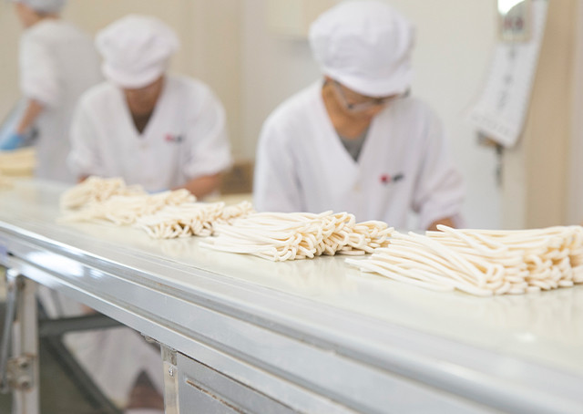 工場直送　打ち立て「生」さぬきうどん 3