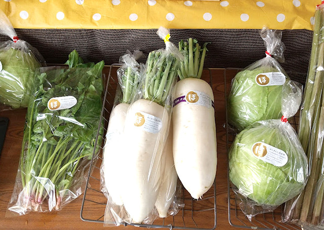 臼杵産紅はるかと生姜のお茶請けセット 4