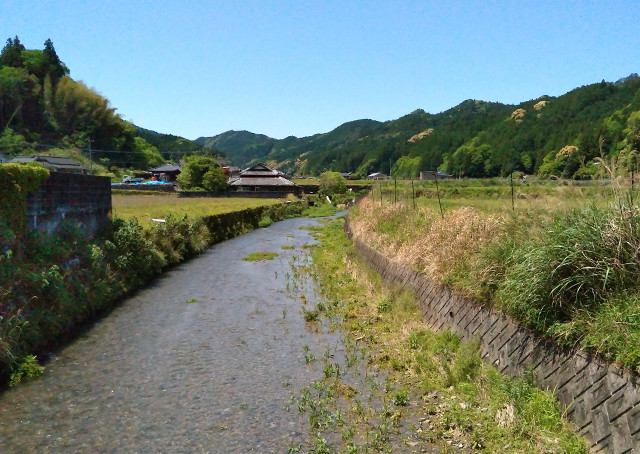熊本県産こだわり無添加きくらげ 4