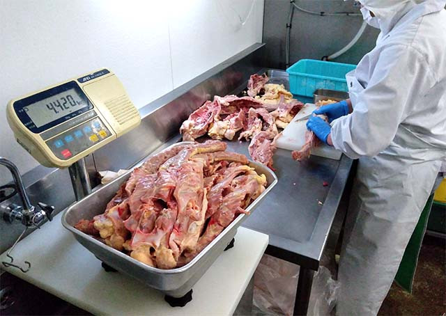 【ふじ】川俣シャモの丸焼き 3
