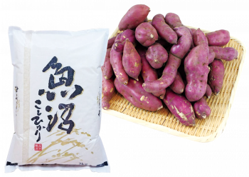 【ふじ】ベニキララと魚沼産コシヒカリセット