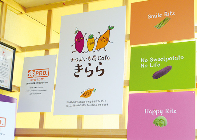 【ふじ】ベニキララと魚沼産コシヒカリセット 4
