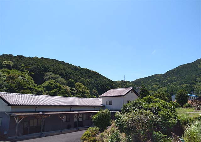【わかたけ】冷凍五島手延べうどん七椿　２種セット 4