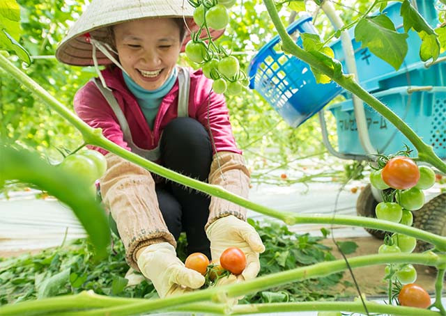 あかい実りの贅沢しぼり 3