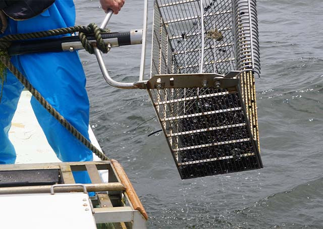宍道湖産 冷凍しじみ 4