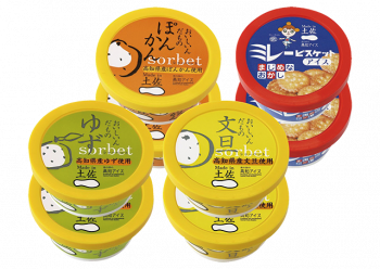 Made in 土佐 高知アイスセット