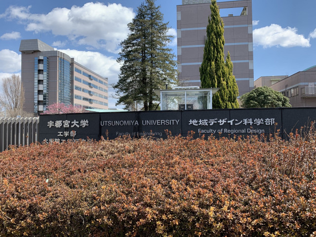 ほんのり酔える伝統酒アイス 白 3個 4