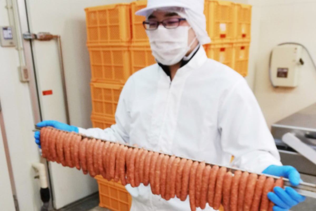 【ふじ】山之村牧場肉製品10点セット 4