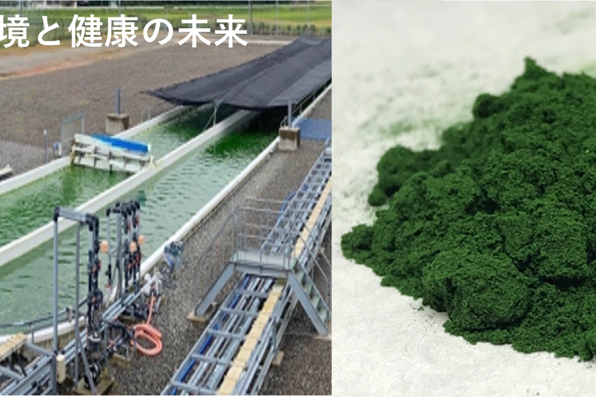 MOCHA藻茶 4