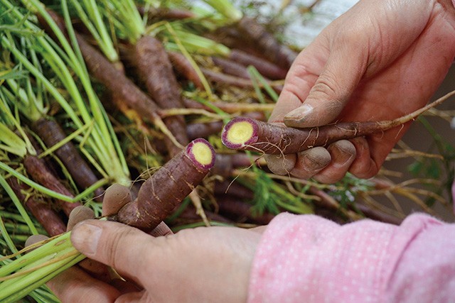 陽子ファームこだわり野菜セット 3