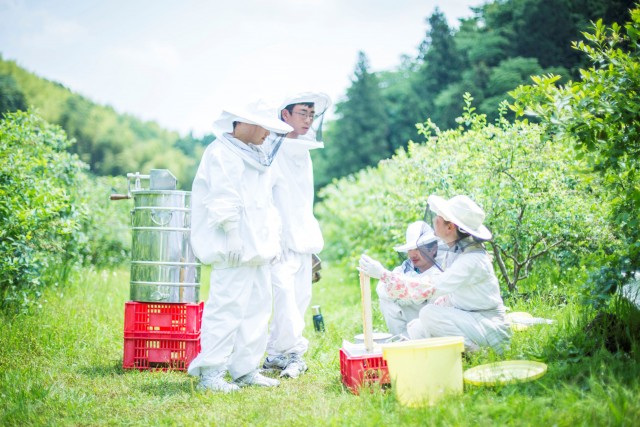 千葉県産完熟生はちみつセット 3