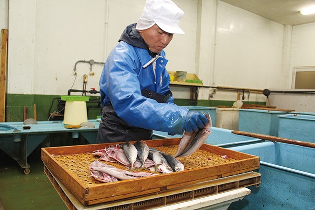 焼くさや 3