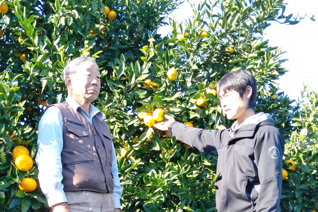宮村農園