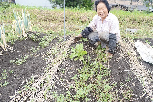 魚沼産の有機米と無農薬栽培の季節野菜 3