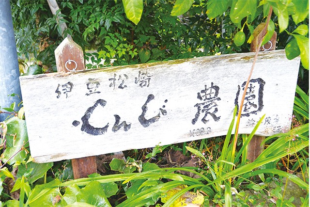 伊豆南の自然の恵みたっぷり！ ハーブティー＆古代米 3