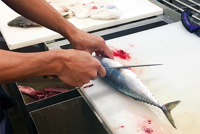 朝採れ鮮魚セット 3