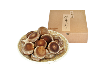 原木生しいたけ