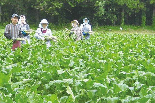 「究極の薬味」暮坪かぶと遠野そばギフト 4