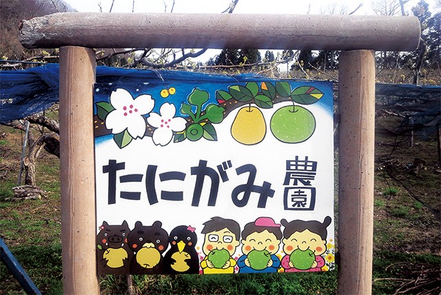 たにがみ農園直送「鳥取といえば梨!」ギフト 4