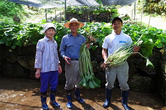 にちはら山菜加工場