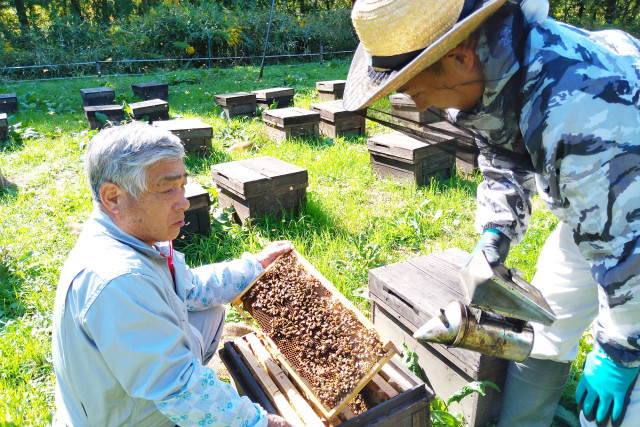 美甘養蜂園の岡山県産蜂蜜詰め合わせ 3