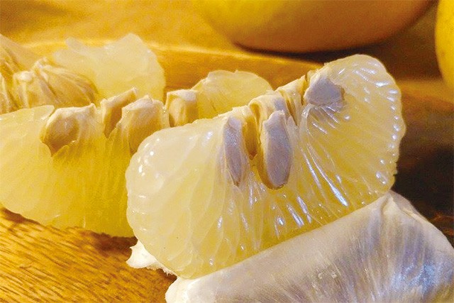 家族団らん 土佐文旦 4