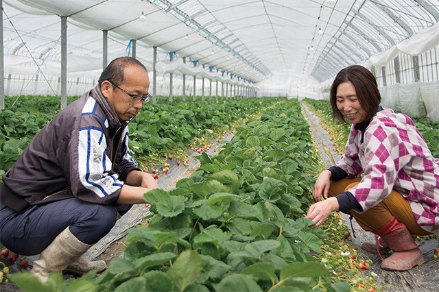 株式会社香月農園
