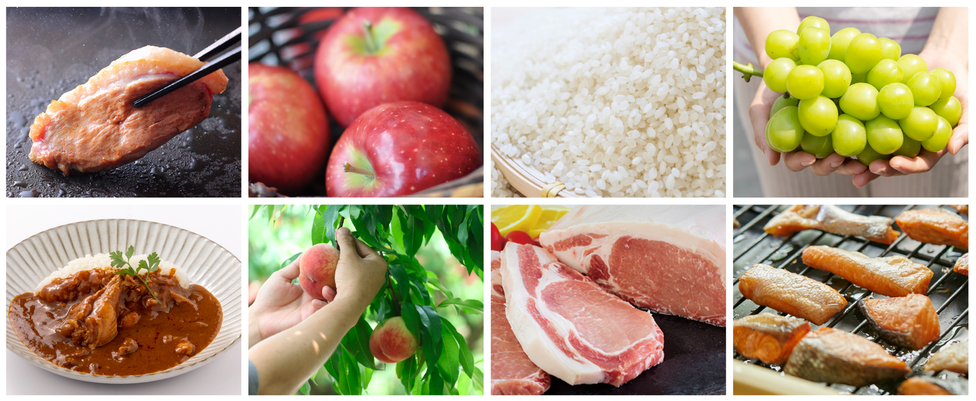 商品ラインナップ