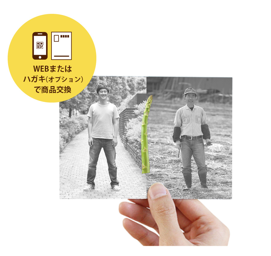 じもカードタイプ