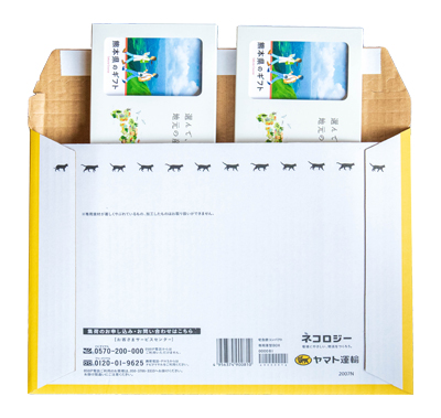宅急便コンパクト薄型専用BOX