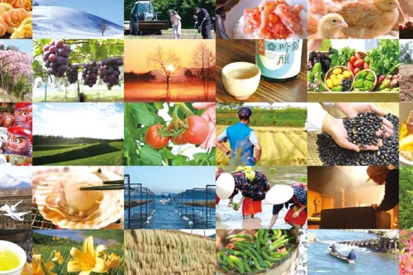 キャンペーン画像の提供